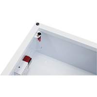 Standard Large AED Cabinet with Alarm, Zoll AED Plus&reg;/Zoll AED 3/Cardio-Science/Physio-Control For, Non-Medical Chandler Sales