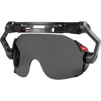Bolt Eye Visor Chandler Sales