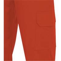 7765 Pantalon cargo de s&eacute;curit&eacute; haute visibilit&eacute; r&eacute;sistant aux arcs &eacute;lectriques FR-Tech 88/12, 30, x 32, Orange haute visibilit&eacute;, 10 cal/cm² Chandler Sales