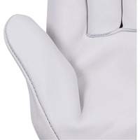 535G Beige Driver's Gloves, Small, Grain Cowhide Palm Chandler Sales