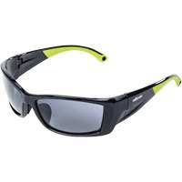 XP460 Lunettes de s&eacute;curit&eacute;, Lentille Fum&eacute;e, Antibu&eacute;e/Anti-&eacute;gratignures Chandler Sales