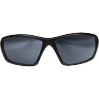 Robson Safety Glasses with Gasket, Silver Mirror Lens, Anti-Scratch/Polarized, ANSI Z87+/MCEPS GL-PD 10-12/Meets/Exceeds CSA Z94.3 Chandler Sales