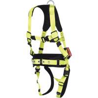 Full Body Harnesses