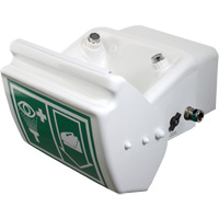 Eye/Face Wash, Wall-Mount Installation, Plastic Bowl Chandler Sales