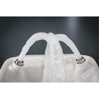 Eye/Face Wash, Wall-Mount Installation, Plastic Bowl Chandler Sales
