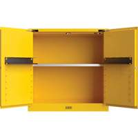 Armoire de s&eacute;curit&eacute; pour produits inflammables Utili-Guard+, 30 gal., 1 Porte(s), 43" La x 44" h x 22" p Chandler Sales