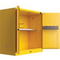 Armoire de s&eacute;curit&eacute; pour produits inflammables Utili-Guard+, 30 gal., 1 Porte(s), 43" La x 44" h x 22" p Chandler Sales