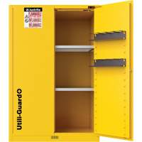 Armoire de s&eacute;curit&eacute; pour produits inflammables Utili-Guard+, 45 gal., 2 Porte(s), 43" La x 65" h x 22" p Chandler Sales