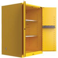 Armoire de s&eacute;curit&eacute; pour produits inflammables Utili-Guard+, 45 gal., 2 Porte(s), 43" La x 65" h x 22" p Chandler Sales