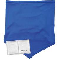 Chill-Its 6482 Cooling Neck Gaiter Bandana with Rechargeable Phase Change Packs, Small/Medium, Blue Chandler Sales