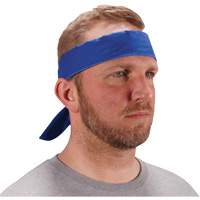 Chill-Its 6702 Cooling Headband with Embedded Polymers & Tie Closure, Blue Chandler Sales