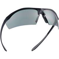 Sentinel Ballistic Protection Safety Glasses, Smoke Lens, Anti-Fog/Anti-Scratch/Polarized, ANSI Z87+ Chandler Sales