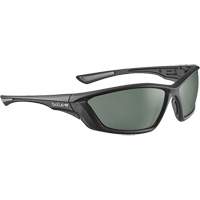 SWAT Ballistic Protection Safety Glasses, Grey Lens, Anti-Fog/Anti-Scratch/Polarized, ANSI Z87+ Chandler Sales