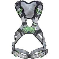 Harnais de s&eacute;curit&eacute; complet V-Fit, Certifi&eacute;e CSA, Classe AEP, Standard, Cap. 400 lb Chandler Sales