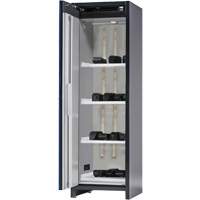 Lithium-ion Storage Cabinet with Charging & 90-Minute Fire Resistance Chandler Sales