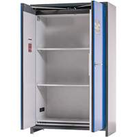 Lithium-ion Storage Cabinet with 90-Minute Fire Resistance Chandler Sales