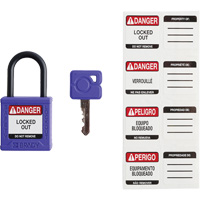 Cadenas de s&eacute;curit&eacute; compact Velocity, Mauve, Cl&eacute;s identiques, Nylon, Largeur de 1-1/4" Chandler Sales