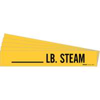 "LB. Steam" Pipe Markers, Self-Adhesive, 2-1/4" H x 2-3/4" W, Black on Yellow Chandler Sales