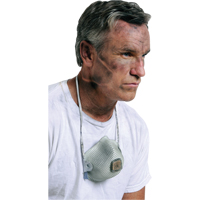 Respirateurs  contre les particules 2700, N95, Certifi&eacute; NIOSH, Grand/Moyen Chandler Sales