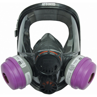 Respirateur &agrave; masque complet North s&eacute;rie 7600, Silicone, Grand/Moyen/Moyen/grand Chandler Sales