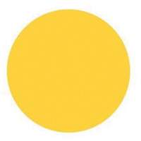 Round Write-On Labels, Circle, 3" L x 3" W, Yellow Chandler Sales
