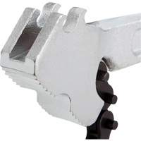 Cl&eacute; &agrave; chaîne Chandler Sales