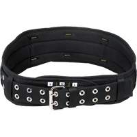 5" Wide Padded Comfort Belt, Nylon, Black Chandler Sales