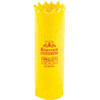 Scie &agrave; cloche bim&eacute;tal 13/16", 13/16", Profondeur de la coupe 2", Bim&eacute;tal Chandler Sales