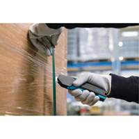 Couteau de s&eacute;curit&eacute; SECUPRO 425 avec lame trap&eacute;zoidale &agrave; pointe arrondie, 15 mm, Prise en Plastique Chandler Sales