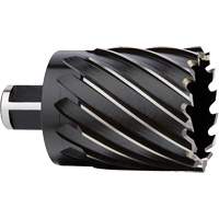Couteau annulaire, Diam&egrave;tre de 2", Acier rapide, Profondeur de la coupe de 2", Tige 3/4" Chandler Sales
