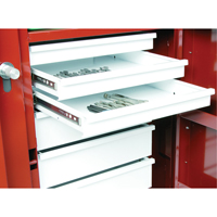 &eacute;tabli roulant, 49-7/8" la x 40-5/8" h x 26-7/8" p, Capacit&eacute; de 24,6 pi³ Chandler Sales