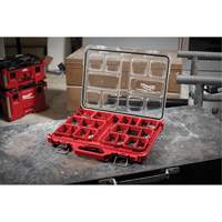 Organisateur profil&eacute; Packout, 19-3/4" x 16-2/5" x 2-1/2", Noir/Rouge Chandler Sales