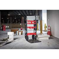 Packout 2-Wheel Cart Chandler Sales