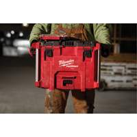 Boîte &agrave; outils Packout, 15-1/2" x 21-4/5" x 16-9/10", Noir/Rouge Chandler Sales