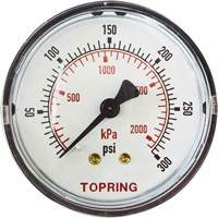 Replacement Pressure Gauge, 2" , 0 - 175 psi, Back Mount, Analogue Chandler Sales
