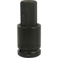 Standard Length Socket, Hex, 1" x 4" L, 3/4" Drive Chandler Sales