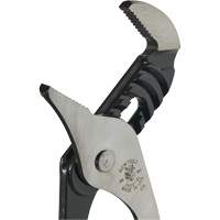 Groove Joint Pliers, 10" Chandler Sales
