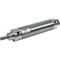 Non Repairable Round Line Pneumatic Cylinders Chandler Sales