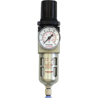 Filtreur/r&eacute;gulateur modulaire, 1/4" NPT, 150 psi, Capacit&eacute; de 0,5 oz liq. Chandler Sales
