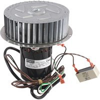 Assemblage de moteur et de roue de ventilateur Renzor Chandler Sales