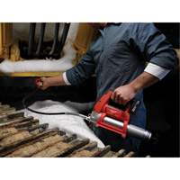 Pistolet graisseur sans fil M12 (outil seulement), Lithium-ion, 12 V Chandler Sales