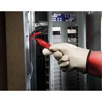 D&eacute;tecteur de tension, 50 - 1000 V, Alerte Son Chandler Sales