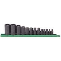 Jeu de douilles externes Torx, Prise 1/2"/1/4"/3/8" Chandler Sales