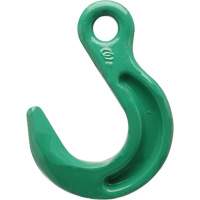 Cam-Alloy&reg; Eye Foundry Hook Chandler Sales