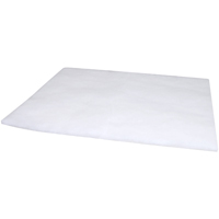 PA1765FOAM Filtre pour liquide de refroidissement &agrave; visser avec additif BTE Chandler Sales