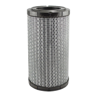 RS5761 Radial Seal Cab Air Element Chandler Sales