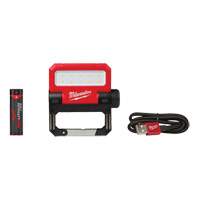 Projecteur d'illumination pivotant Rover USB, DEL, 550 lumens, Piles Rechargeable Chandler Sales