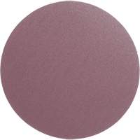 PSA Cloth Disc 348D, 12" Dia., 60 Grit, Aluminum Oxide, X-Weight Chandler Sales