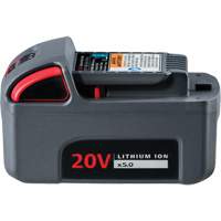 IQV20 High Capacity Battery, Lithium-Ion, 20 V, 5 Ah Chandler Sales