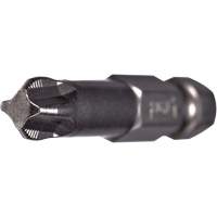 Embout pour outil &eacute;lectrique ACR, Phillips, Embout #2, Prise 1/4", Longueur 2-3/4" Chandler Sales